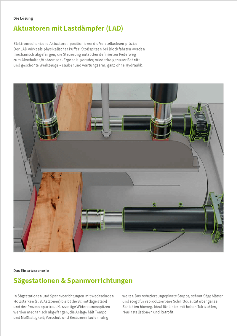 Fallstudie | Holzwirtschaft